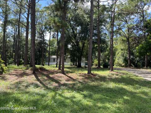 4125 Luciano Avenue, Cocoa FL - photo 18 of 44