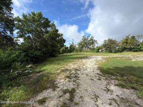 1713 Mantes Drive, Cocoa FL - photo 16 of 19
