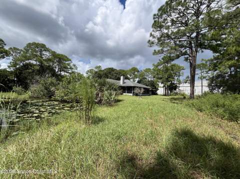 3685 Pine Street, Cocoa FL - photo 6 of 34
