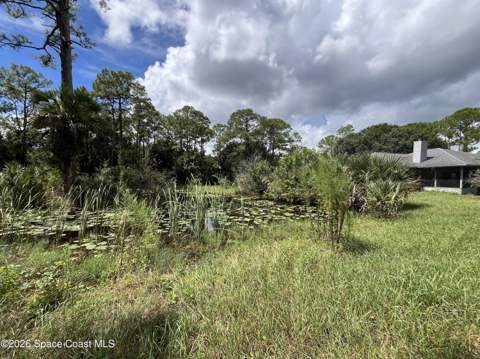 3685 Pine Street, Cocoa FL - photo 8 of 34