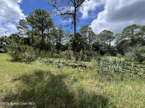 3685 Pine Street, Cocoa FL - photo 9 of 34