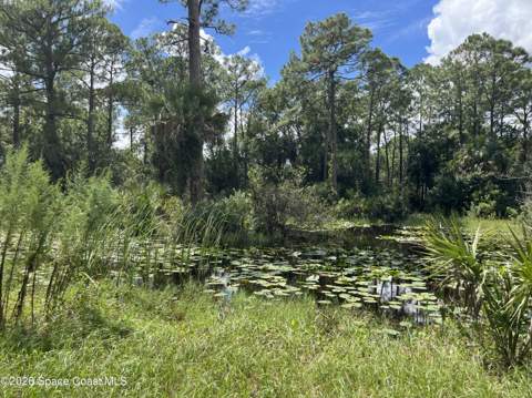 3685 Pine Street, Cocoa FL - photo 11 of 34