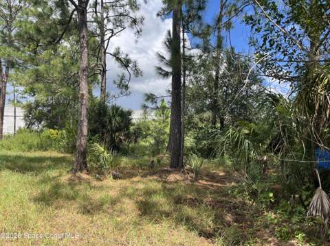3685 Pine Street, Cocoa FL - photo 12 of 34