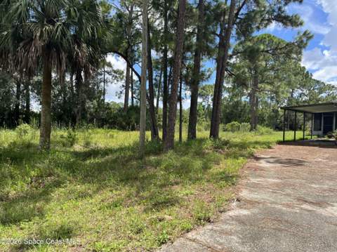 3685 Pine Street, Cocoa FL - photo 13 of 34
