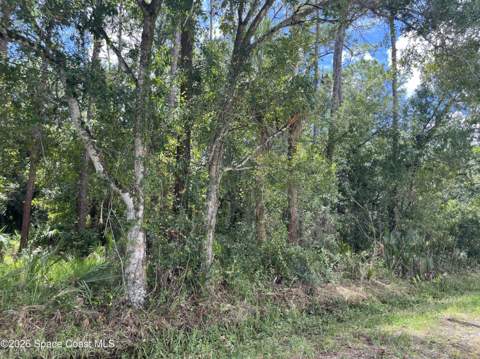 3685 Pine Street, Cocoa FL - photo 7 of 34