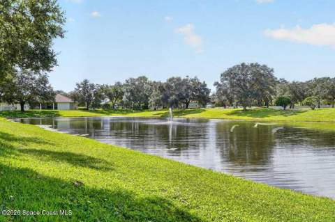 941 SE Gardenbrook Court, Palm Bay FL - photo 7 of 68