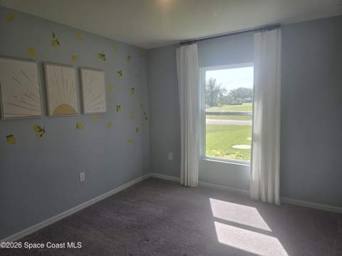 1699 Yamada Street, Palm Bay FL - photo 9 of 13