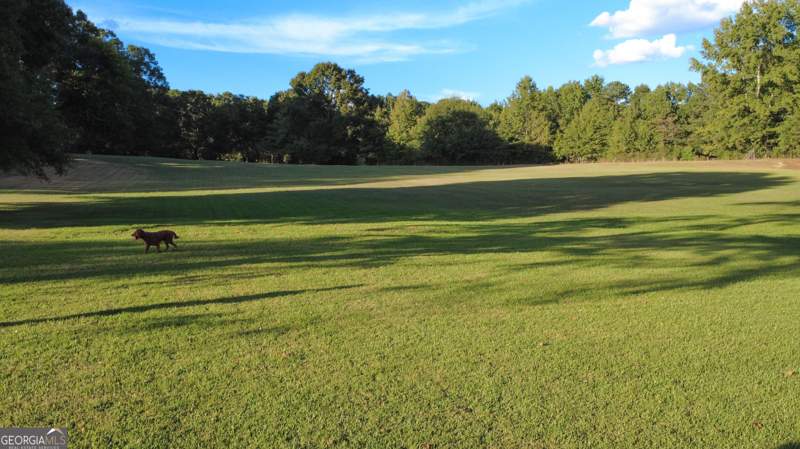 3 bedroom Single Family Residence at 335 Robert Hardeman Road, None, Winterville — photo 4