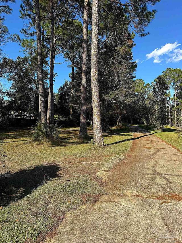 Pine Forest Estates