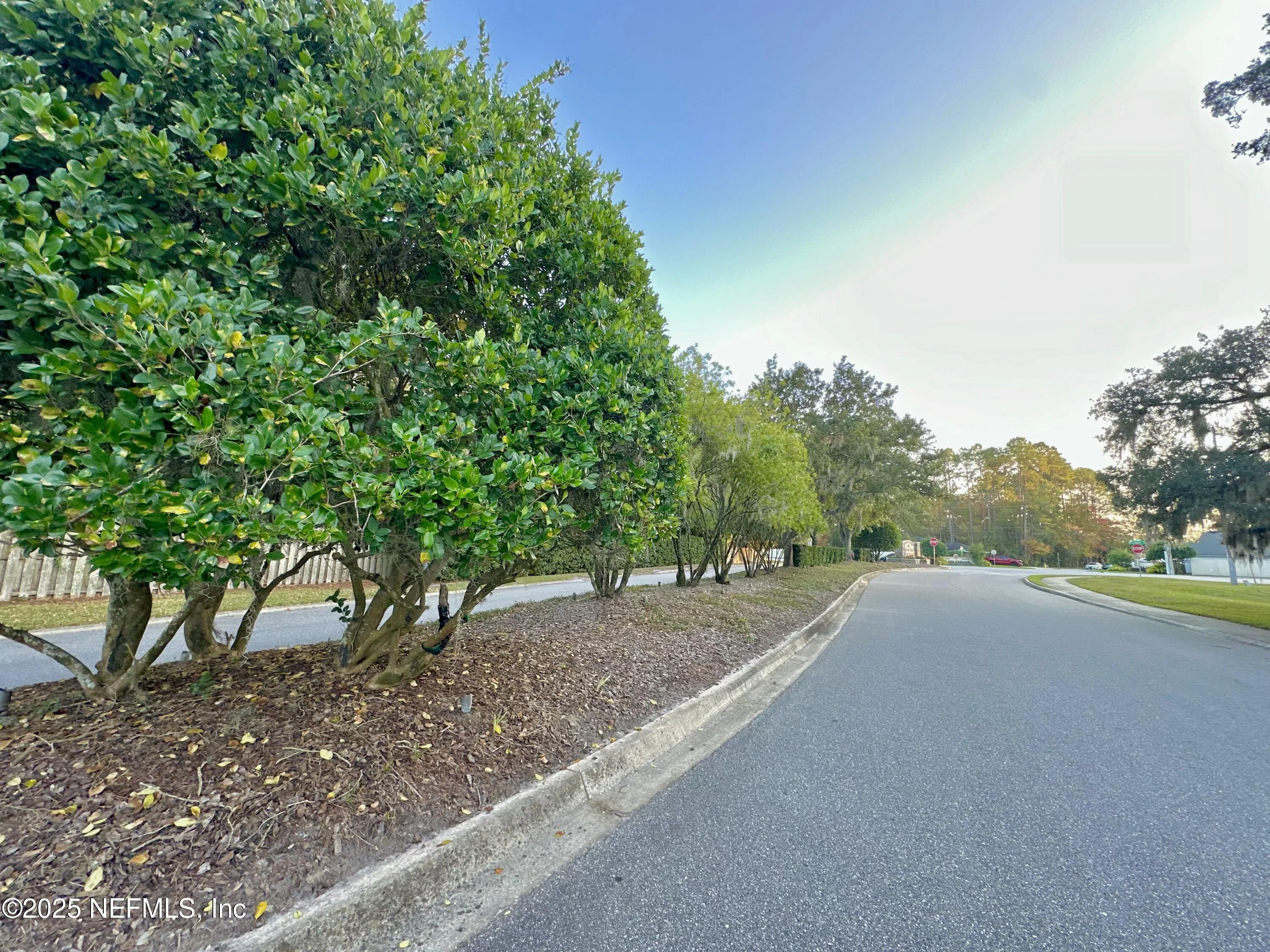 Arbor Oaks in Jacksonville