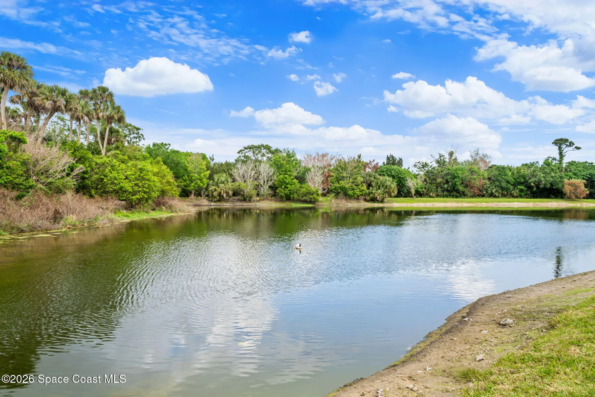 Chase Hammock Lakes