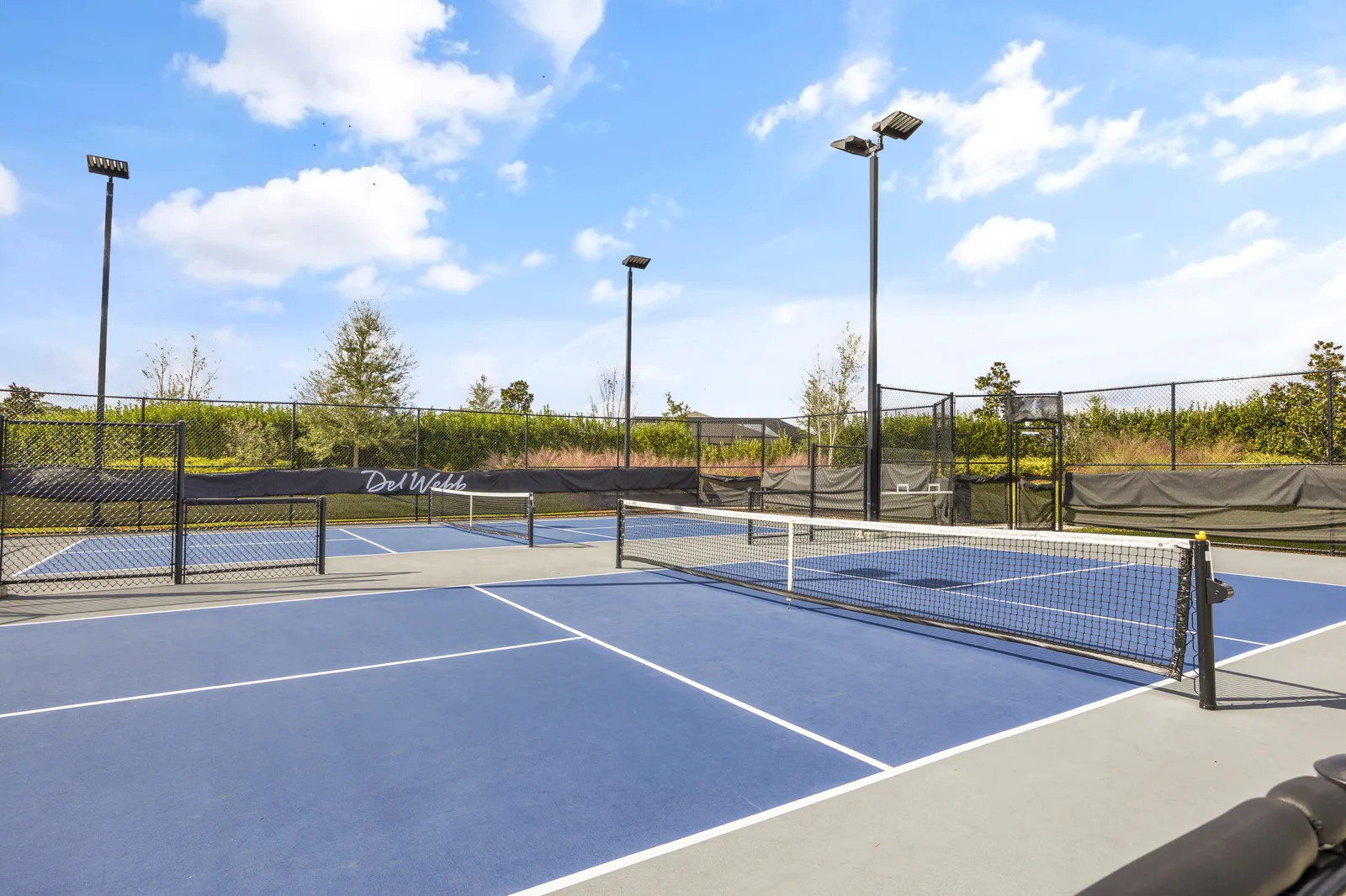 Del Webb eTown