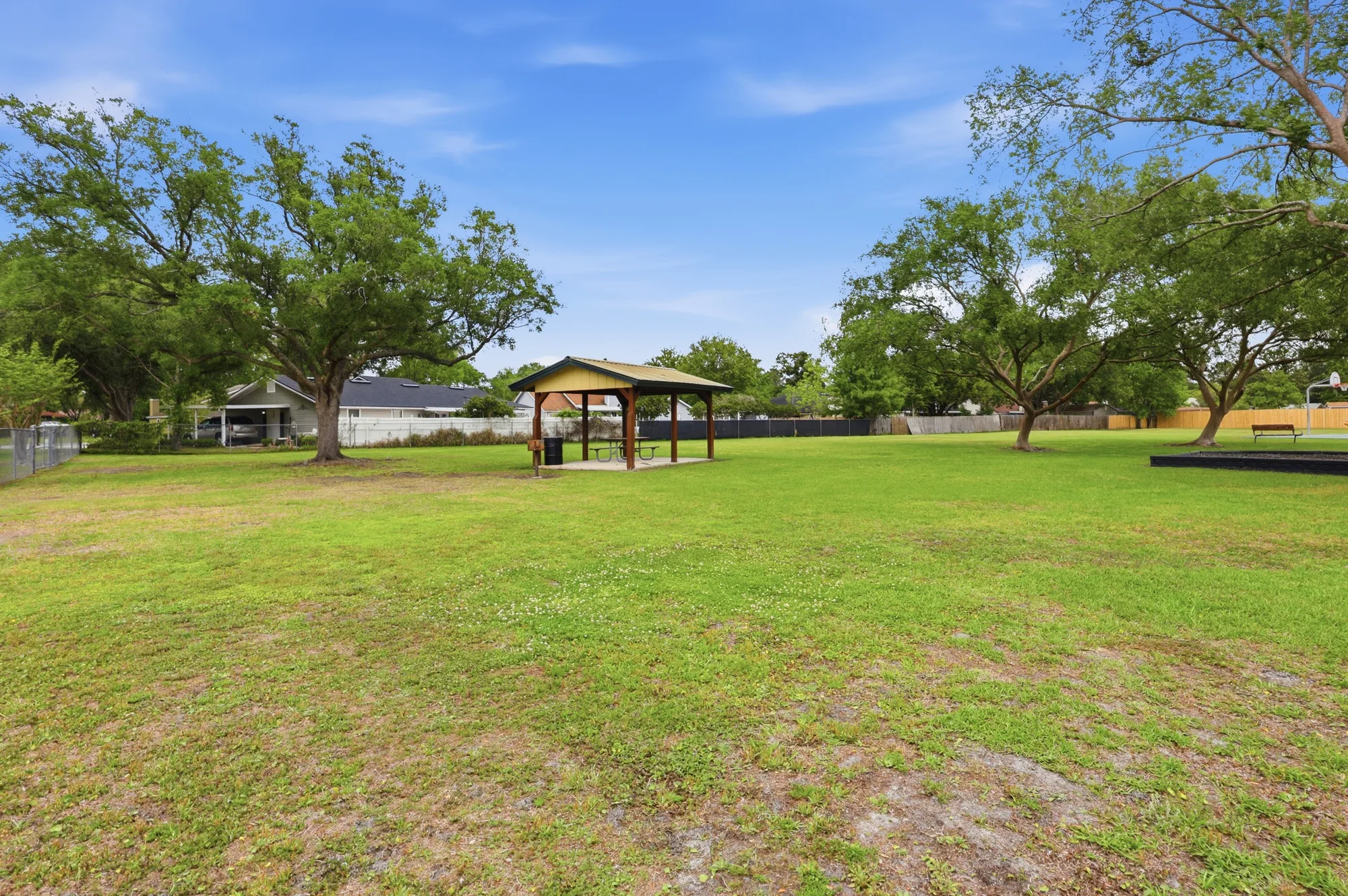 Island Forest in Fleming Island