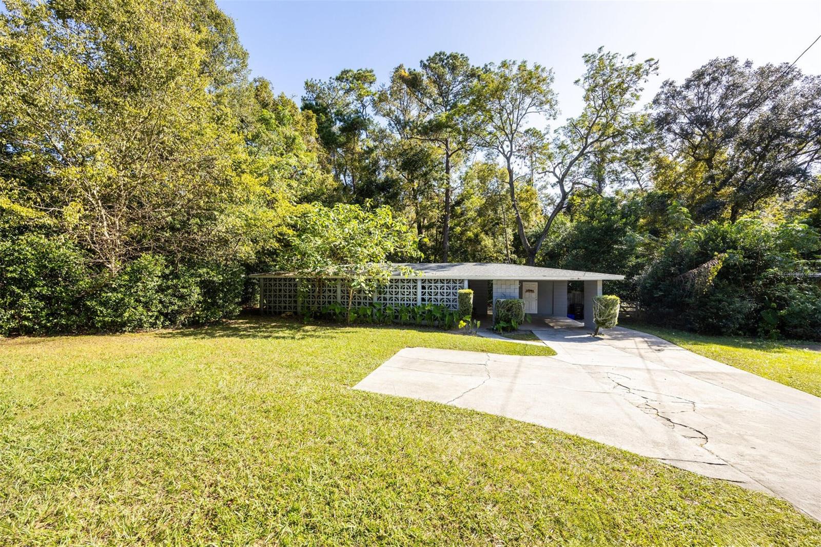 Woodland Terrace