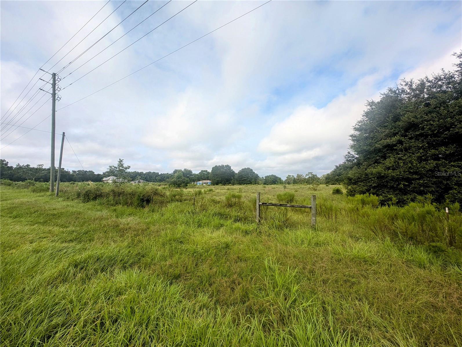 Marchant Meadows