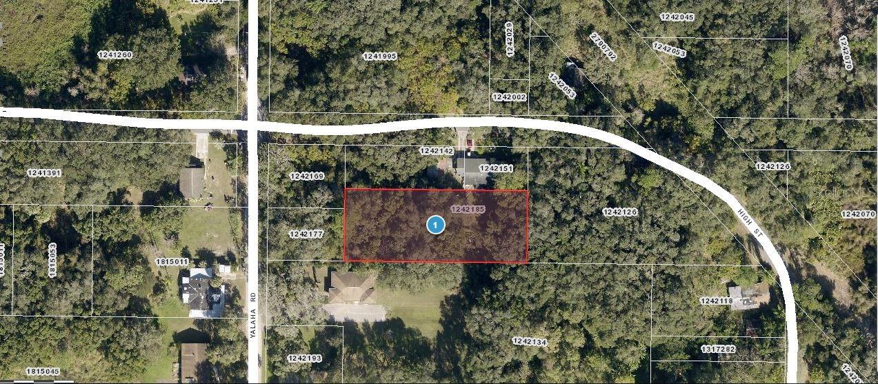 BLOOMFIELD TILLMANS ADD Homes for Sale in Yalaha, FL