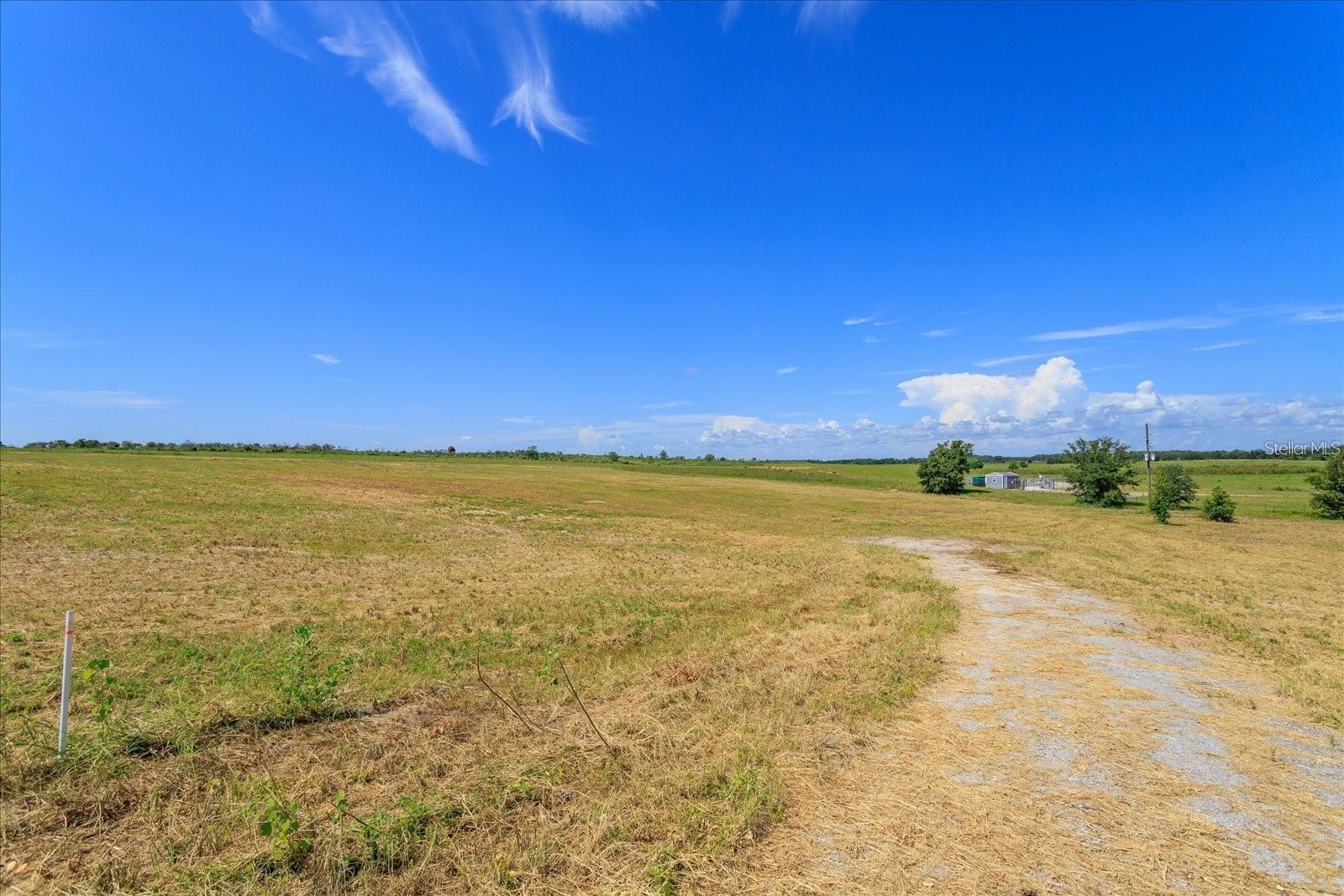 Lot 4 Mercado Court home for sale in PINELAND SUB