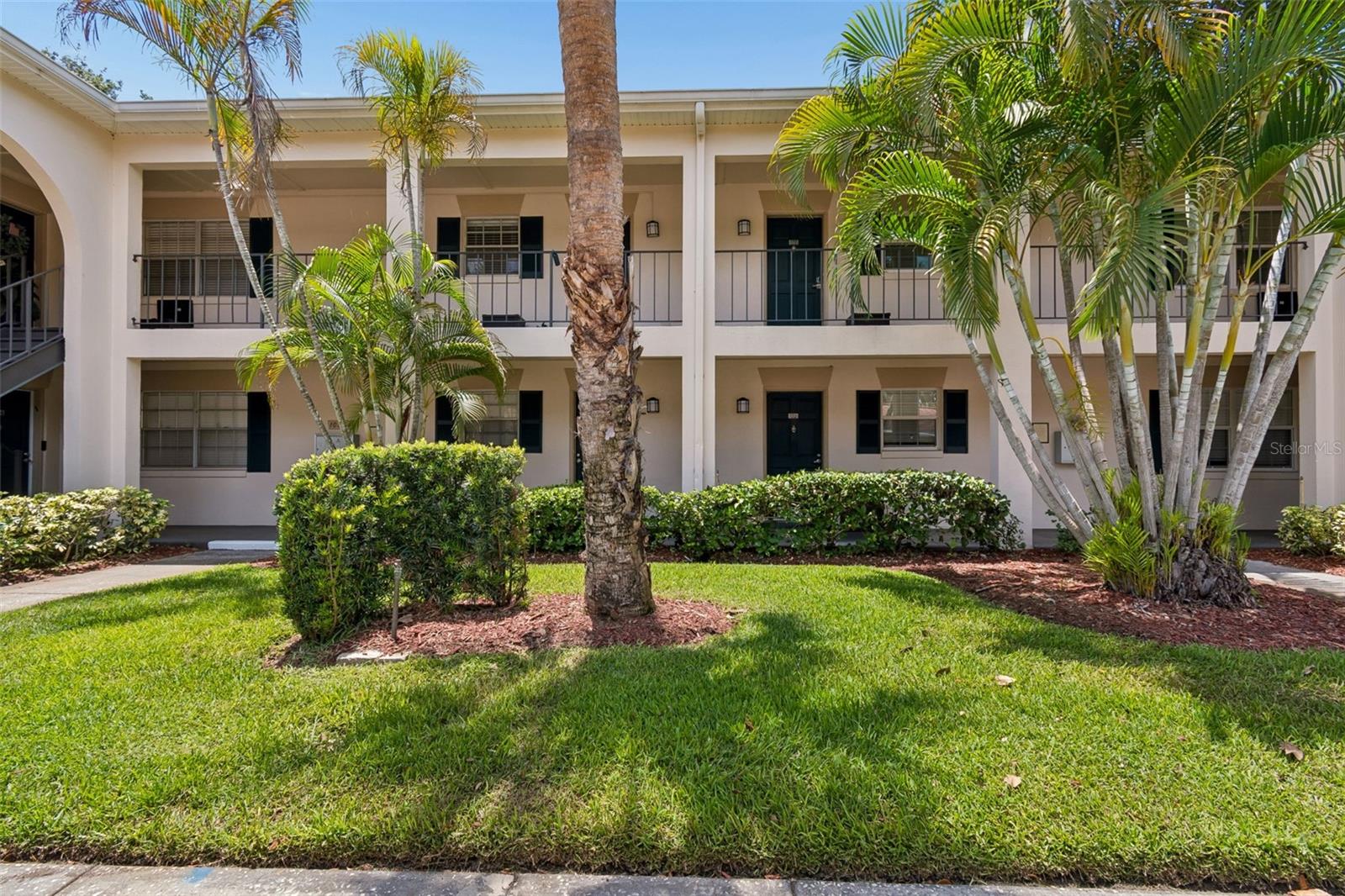 The Grand at Olde Carrollwood