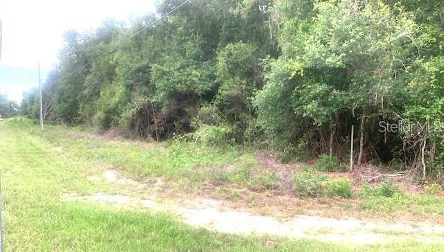 MARYS VILLA ACRES in Groveland