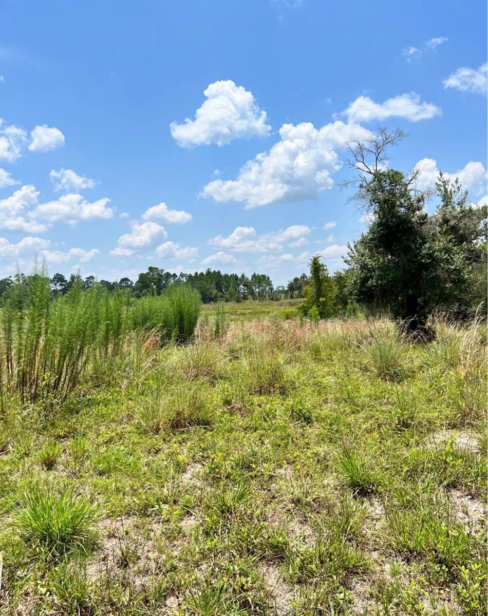 FOREST PARK #91 in Eustis