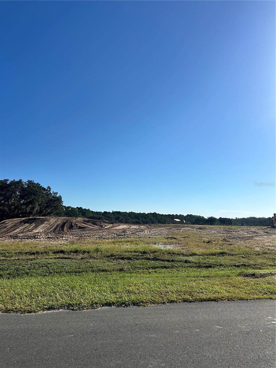 SHORELIN RANCH Homes for Sale in Umatilla, FL