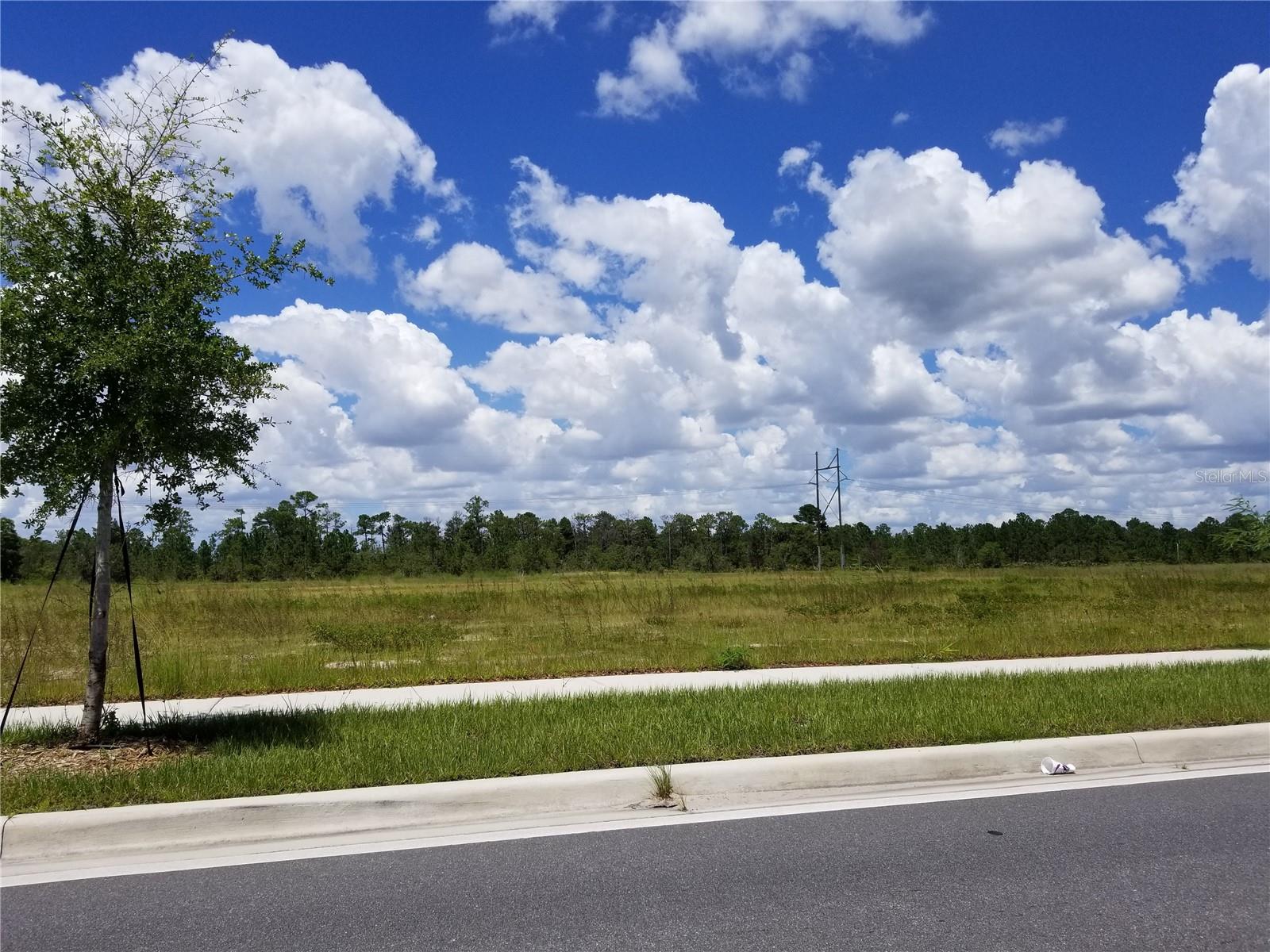 S Apopka Vineland Road home for sale in MCKOY LAND CO SUB