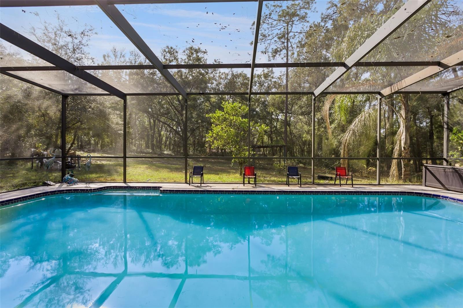 PINE TREE ESTATES Homes for Sale in Lady Lake, FL