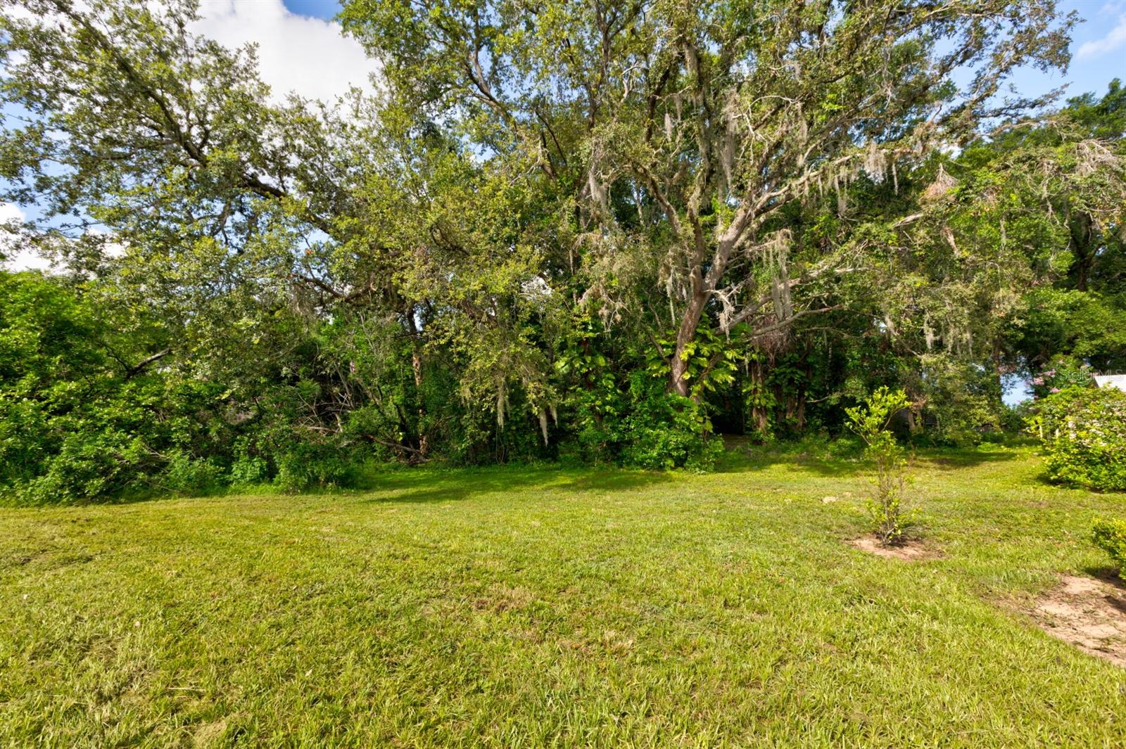 EUSTIS LAKE NETTIE COURT