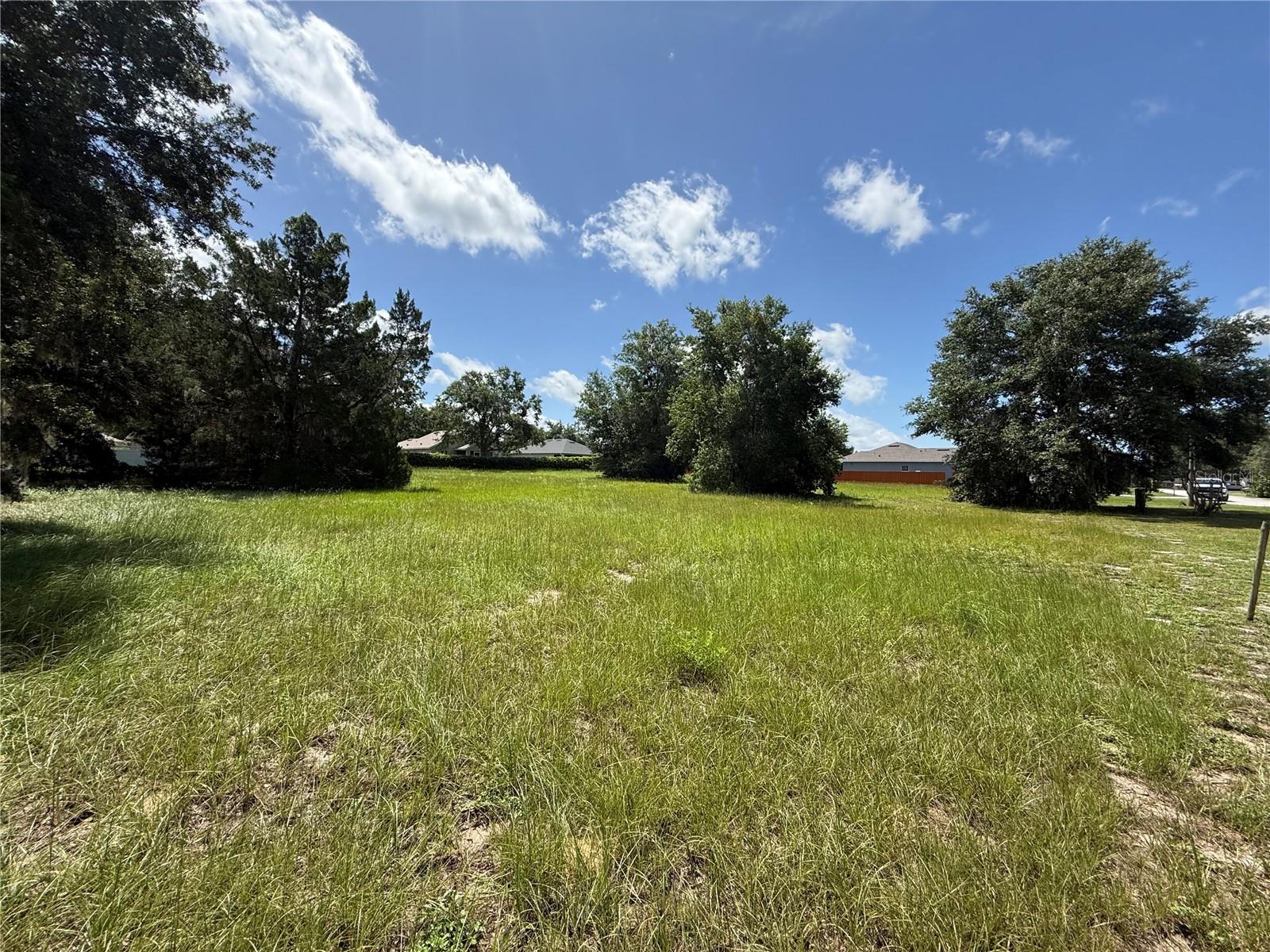 TARPON DEVELOPMENT Homes for Sale in Umatilla, FL