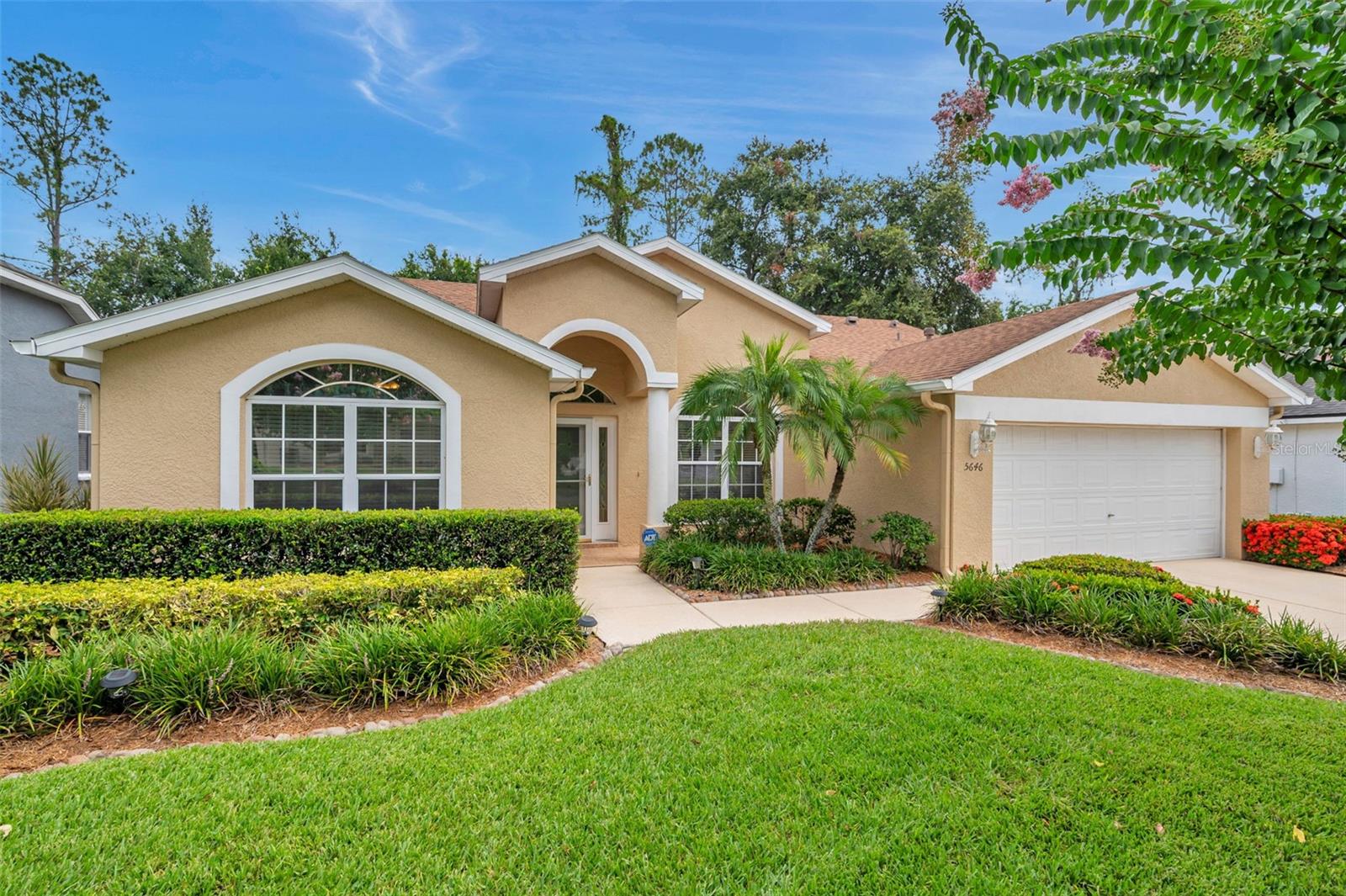 Pinewalk in Wesley Chapel