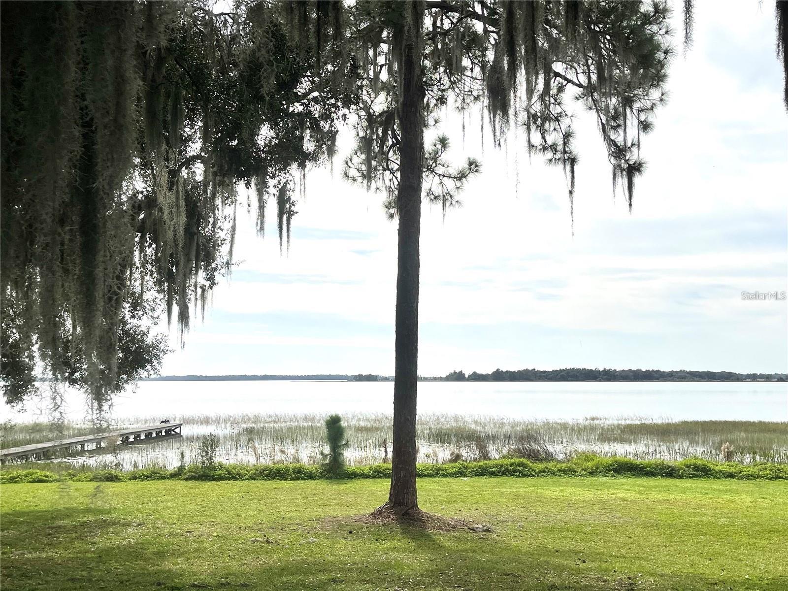 ALLIGATOR LAKE VIEW in St Cloud