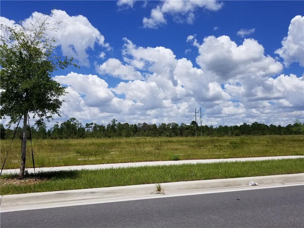Apopka Vineland Road home for sale in MCKOY LAND CO SUB