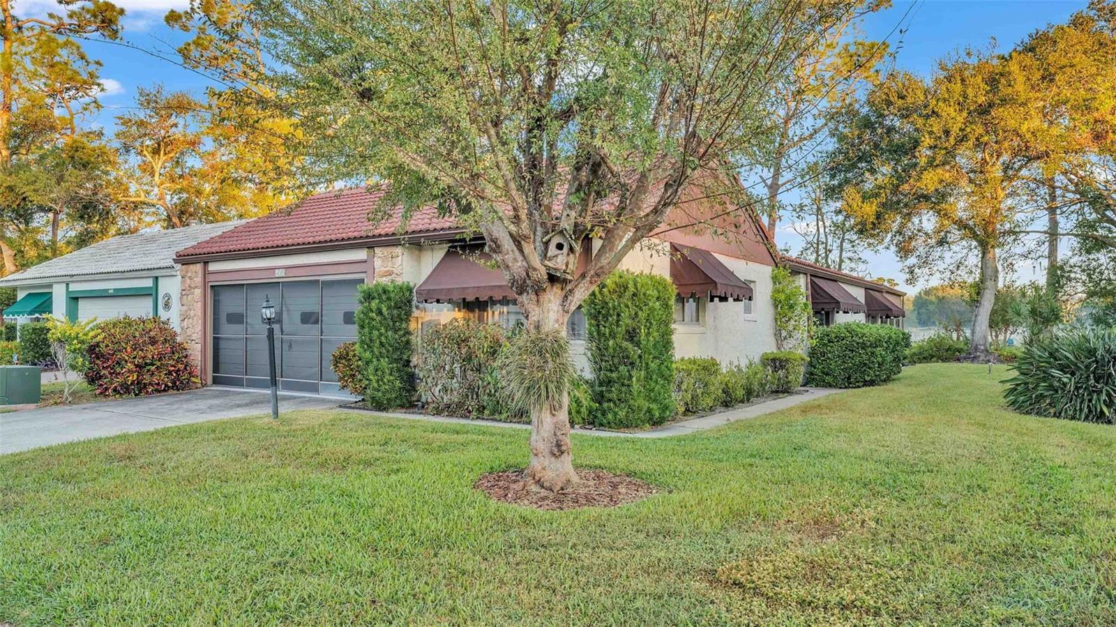 439 San Jose Drive home for sale in Orchid Springs Patio Homes