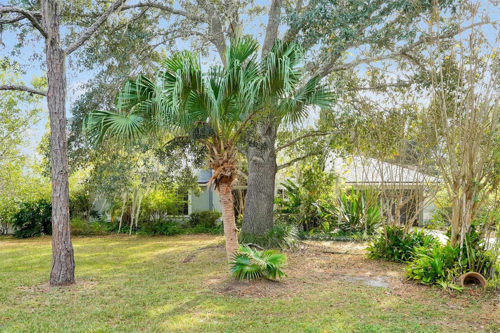 19814 Moorgate Street home for sale in Cape Orlando Estates (Wedgefield)