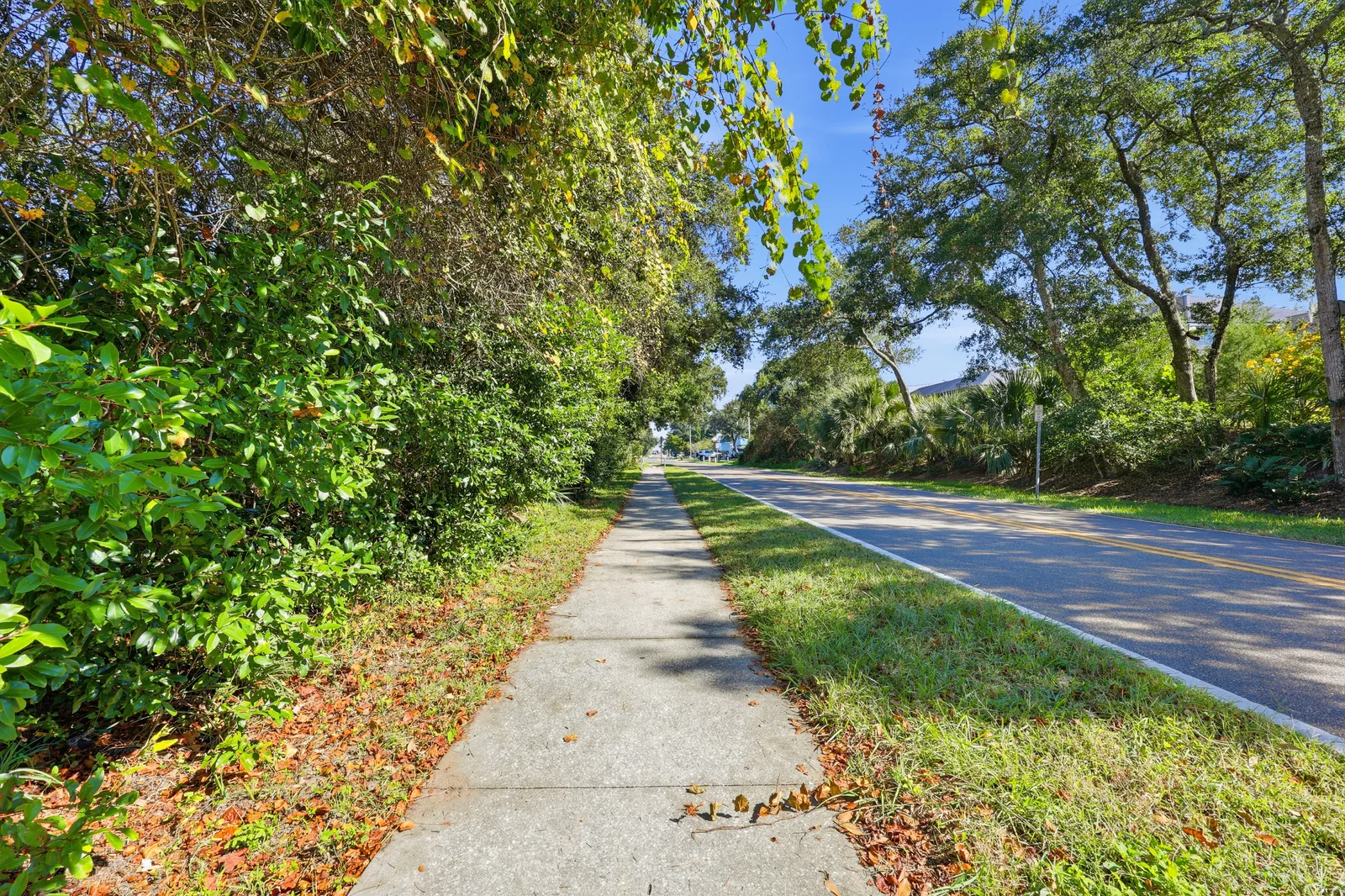 Ocean Ridge, St. Augustine, photo 12