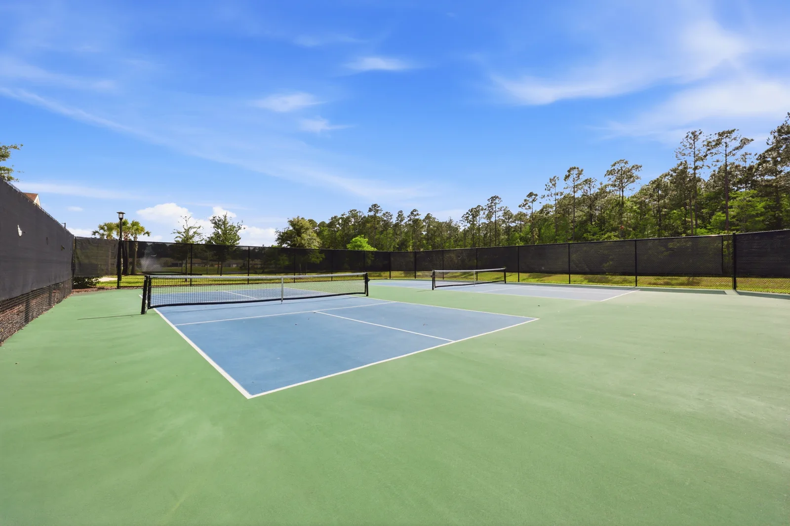 Parkland Preserve, St. Augustine, photo 13
