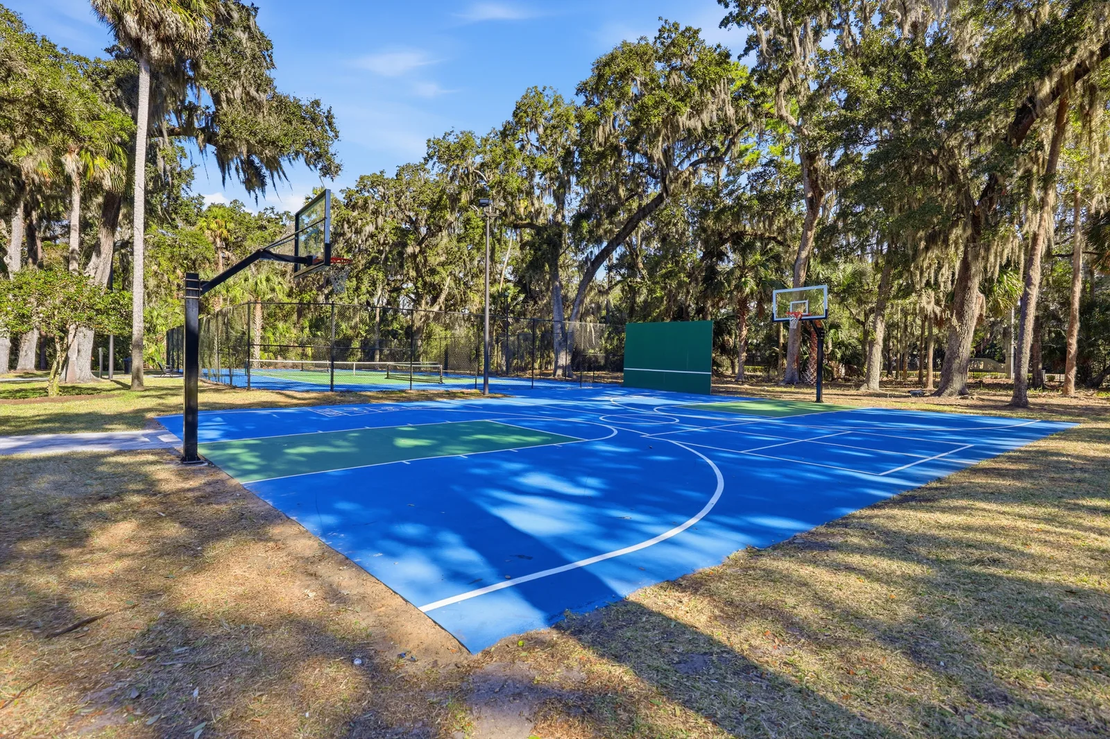 Plantation Oaks