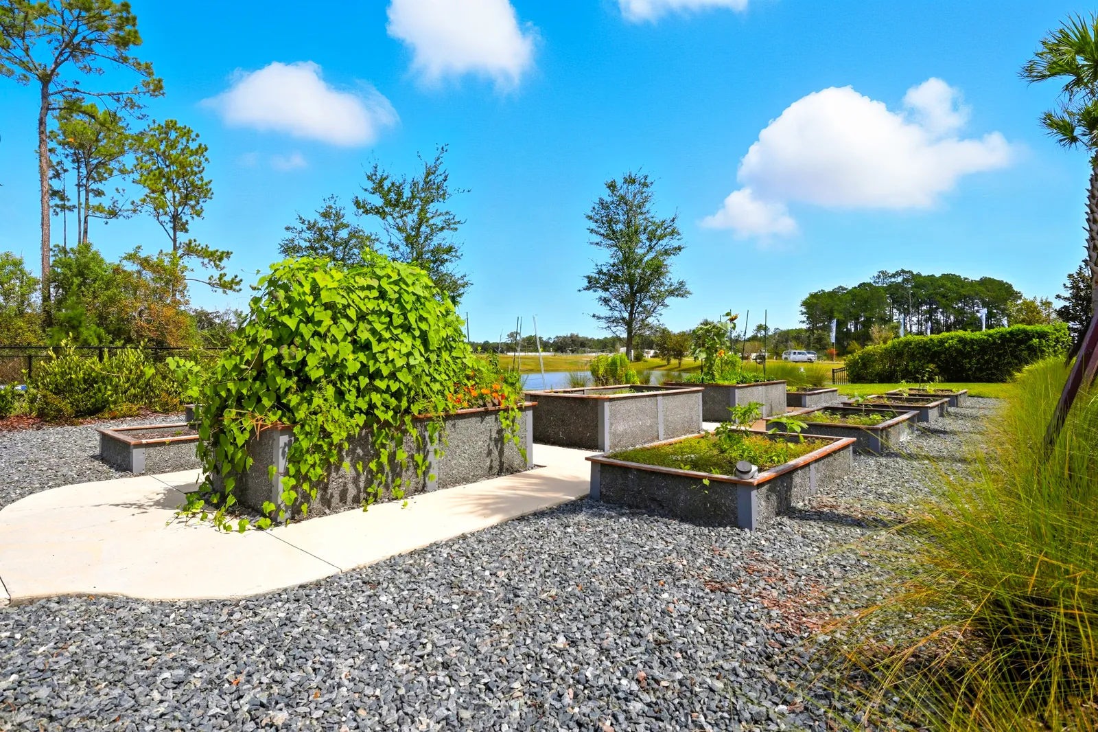 Summer Bay at Grand Oaks, St. Augustine, photo 10