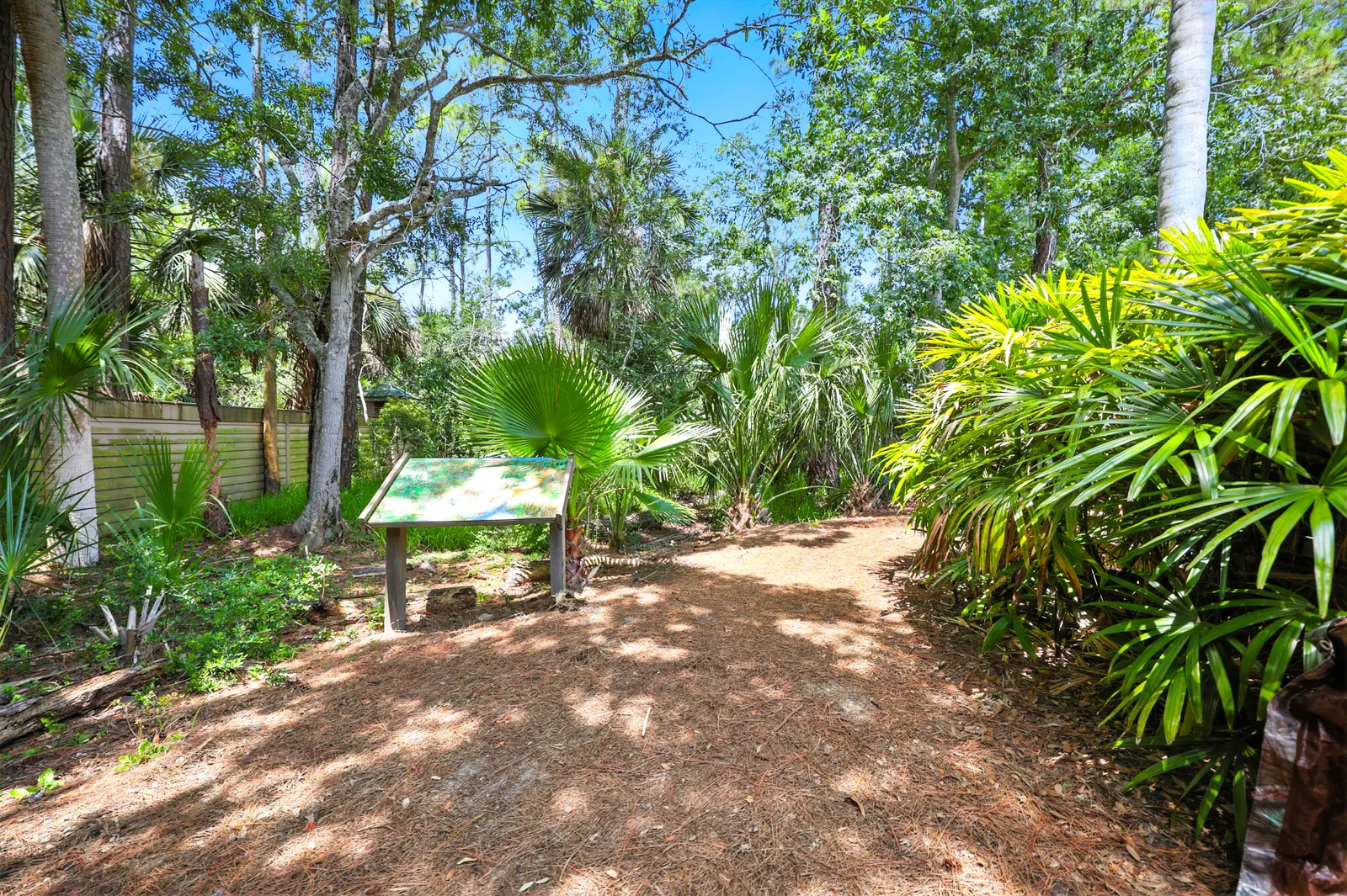 The Sanctuary, Jacksonville Beach, photo 4