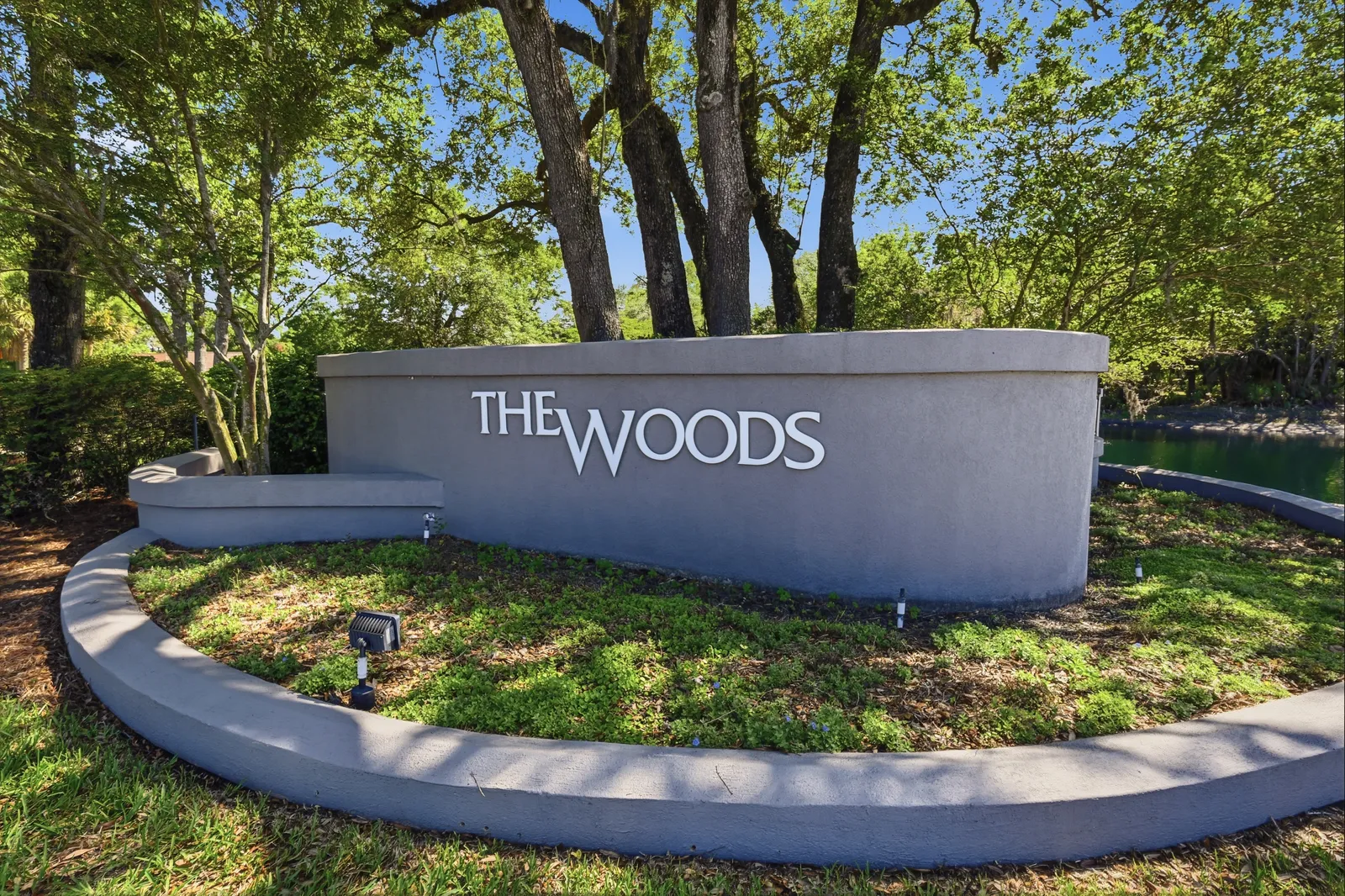 The Woods