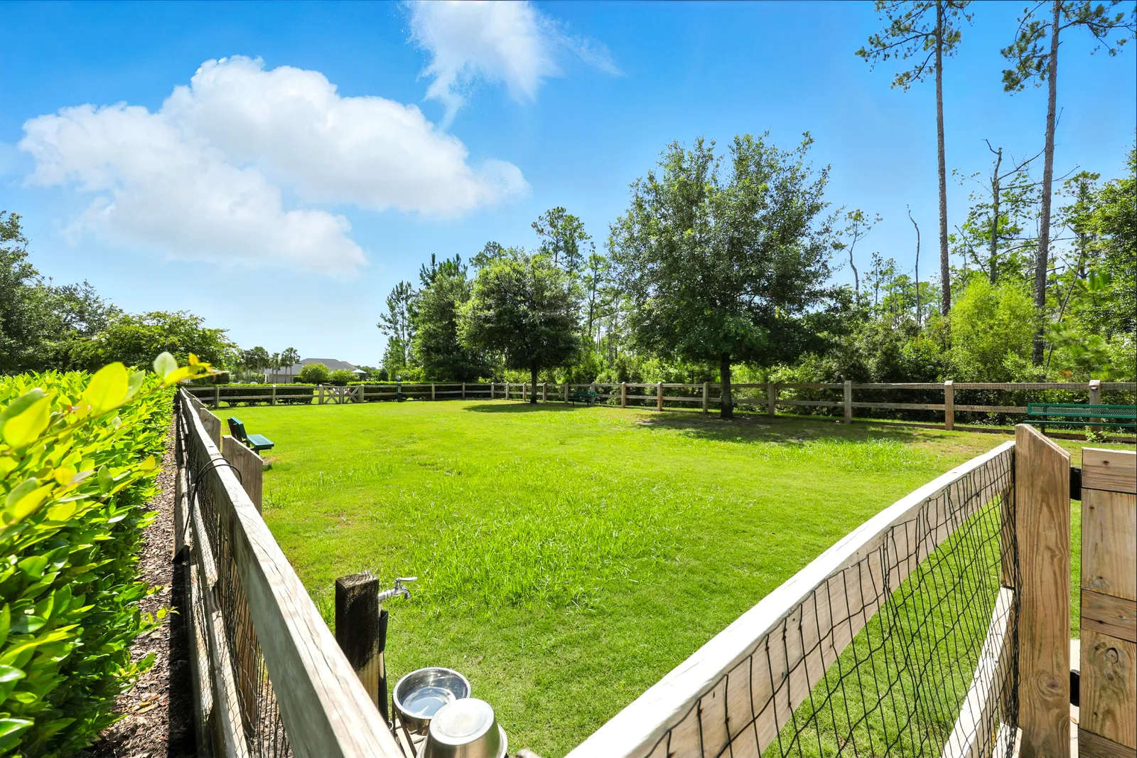 Timberland Ridge, Ponte Vedra, photo 2