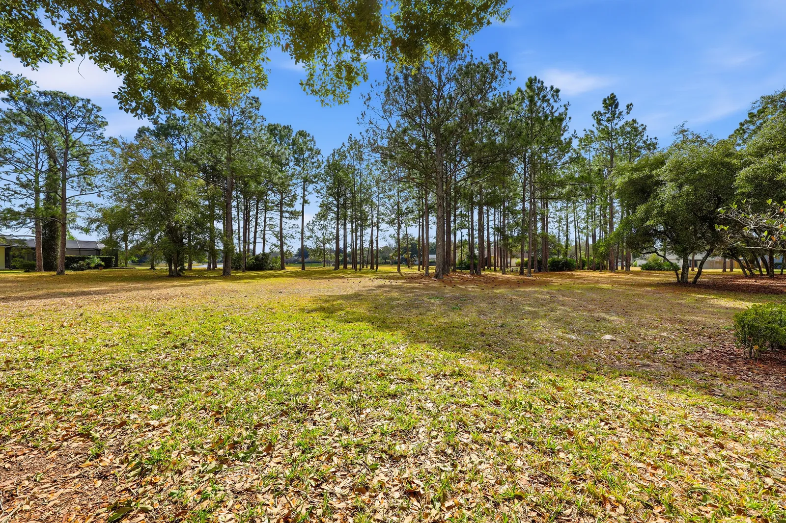 Walden Chase, Ponte Vedra, photo 6