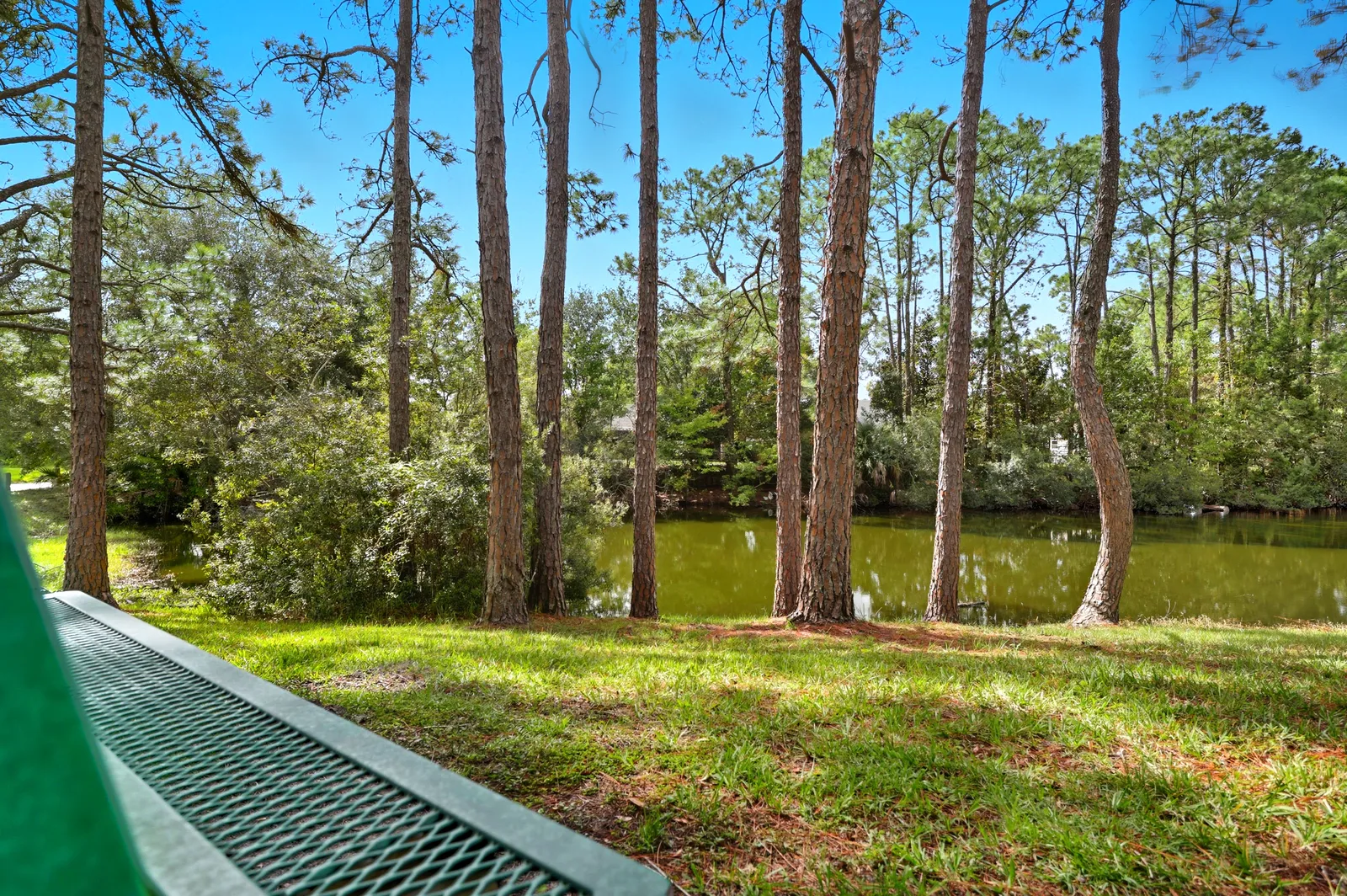 Walnut Bend, Jacksonville, photo 2
