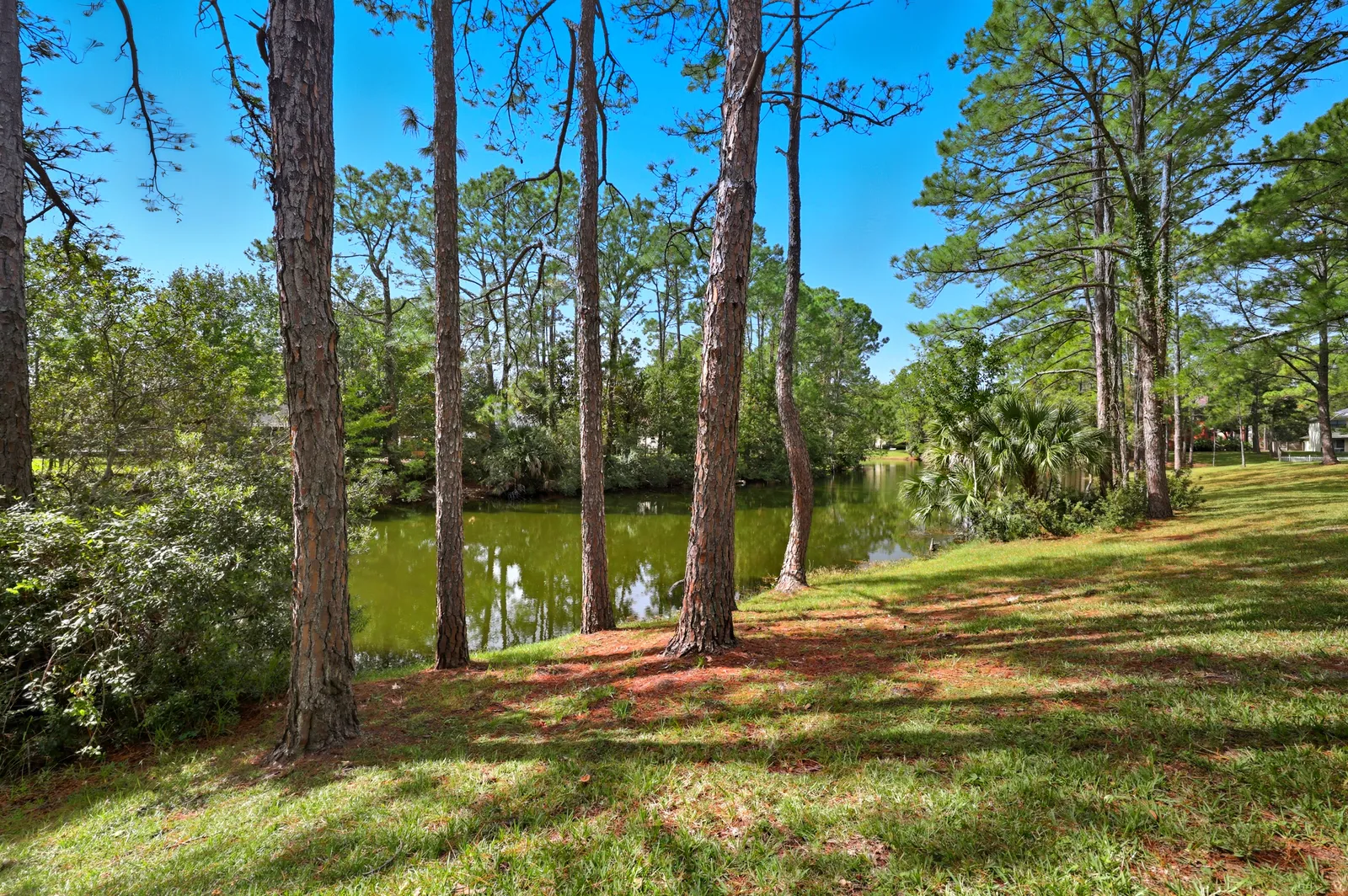Walnut Bend, Jacksonville, photo 3