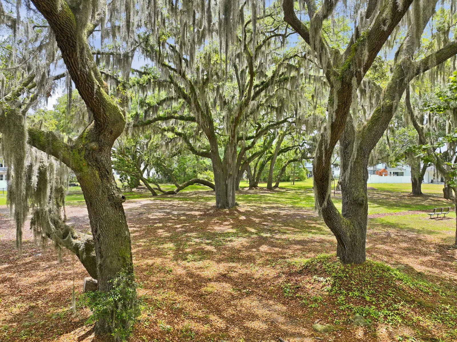 Wingate Landing, Jacksonville, photo 4