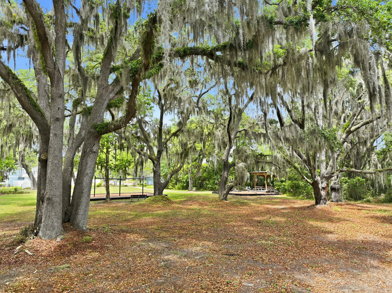 Wingate Landing, Jacksonville, photo 5