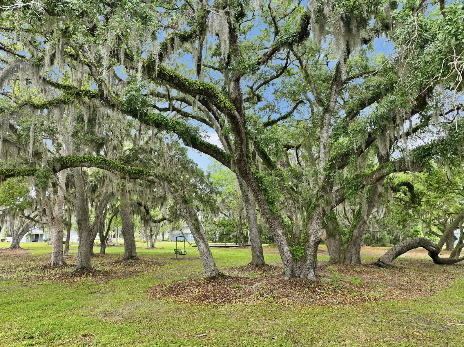 Wingate Landing, Jacksonville, photo 6